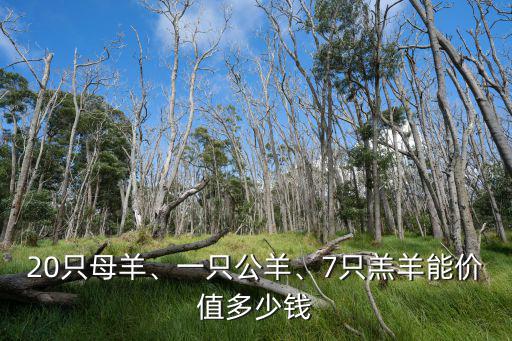 安徽羊市多少錢(qián)一只,7只羔羊能價(jià)值多少錢(qián)