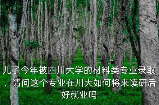 兒子今年被四川大學的材料類專業錄取，請問這個專業在川大如何將來讀研后好就業嗎