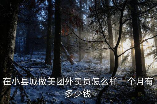 淮北美團外賣一個月多少錢,一個月有多少錢