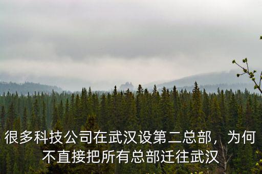 很多科技公司在武漢設第二總部，為何不直接把所有總部遷往武漢