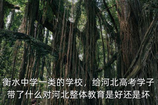 河北衡水中學女生比例是多少,河北衡水中學有多厲害