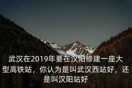武漢城建漢陽怎么樣,武漢漢陽的房子怎么樣