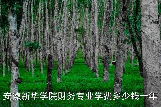 安徽新華學院財務專業學費多少錢一年