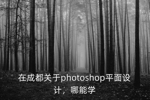 在成都關于photoshop平面設計，哪能學