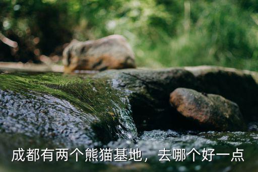 成都熊貓飼養基地在哪里,成都的大熊貓基地在哪里