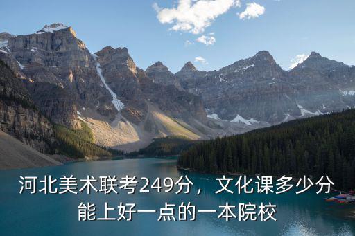 河北美術聯考249分，文化課多少分能上好一點的一本院校