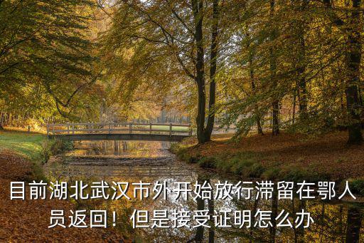 目前湖北武漢市外開始放行滯留在鄂人員返回！但是接受證明怎么辦