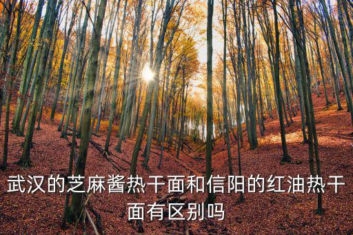 武漢紅油熱干面炸醬面怎么樣,是武漢熱干面好吃
