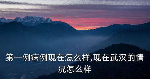 武漢第一例病例現在怎么樣,現在武漢的情況怎么樣