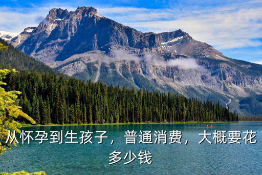 從懷孕到生孩子，普通消費，大概要花多少錢