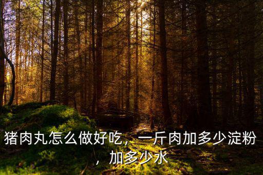 河南省淀粉爐肉丸怎么做好吃,豬肉丸怎么做好吃
