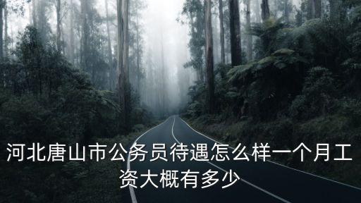 河北唐山挖機工資多少,一個月工資大概有多少