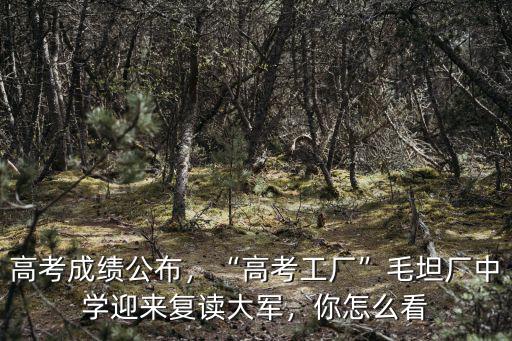 安徽毛坦廠高考多少人,六安毛坦廠中學多少學生