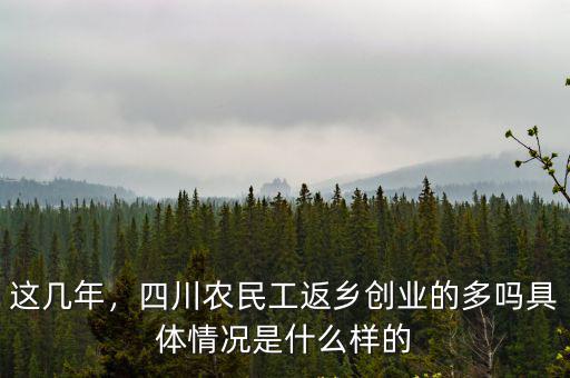 這幾年，四川農民工返鄉創業的多嗎具體情況是什么樣的