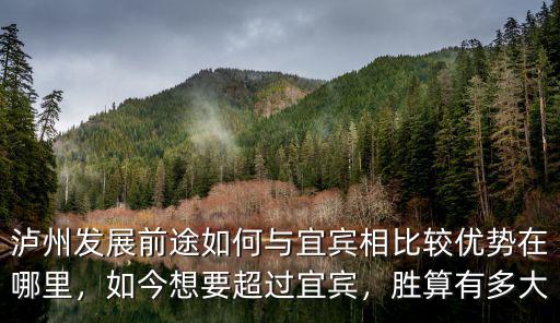 瀘州發展前途如何與宜賓相比較優勢在哪里，如今想要超過宜賓，勝算有多大