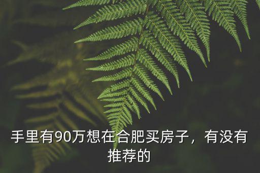 合肥賺多少能買300萬的房子,合肥肥西房子能買嗎