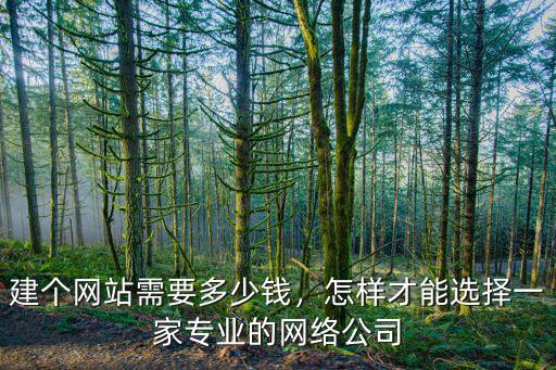 建個網站需要多少錢，怎樣才能選擇一家專業的網絡公司