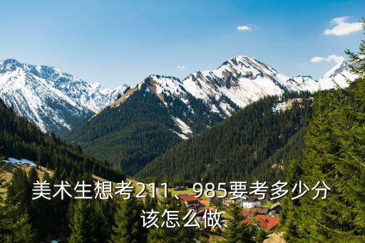 安徽省美術生考985要多少分,安徽美術統考成績272分