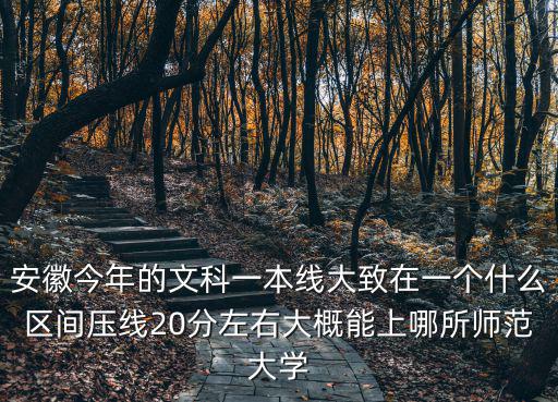 安徽今年的文科一本線大致在一個什么區間壓線20分左右大概能上哪所師范大學
