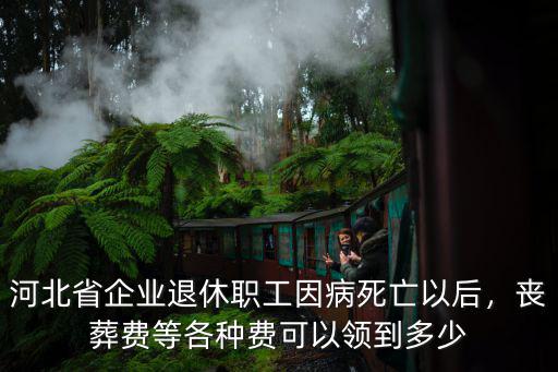 河北省企業退休職工因病死亡以后，喪葬費等各種費可以領到多少