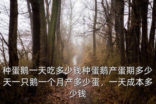 種蛋鵝一天吃多少錢種蛋鵝產蛋期多少天一只鵝一個月產多少蛋，一天成本多少錢
