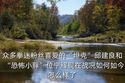 眾多拳迷粉絲喜愛的“坦克”邱建良和“恐怖小胖”位寧輝現在戰況如何如今怎么樣了