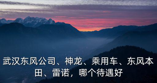 武漢神龍汽車座椅有限公司怎么樣,東風(fēng)標(biāo)致雪鐵龍汽車有限公司