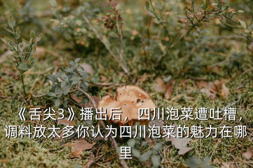 四川人哪里最會做泡菜,洋白菜適合做四川泡菜嗎