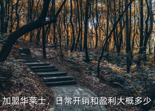 加盟華萊士，日常開銷和盈利大概多少