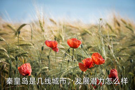 秦皇島是幾線城市，發展潛力怎么樣