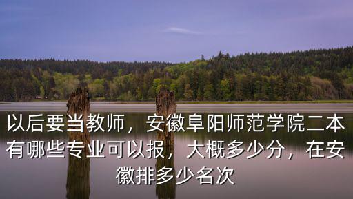 阜陽大學分數線多少,阜陽三中錄取分數線是多少