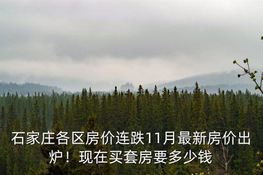 石家莊華瑞苑現在房價多少,石家莊各區房價連跌
