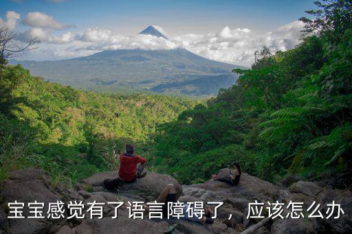 隨州寶寶有語言障礙怎么辦,擔心孩子有語言障礙怎么辦