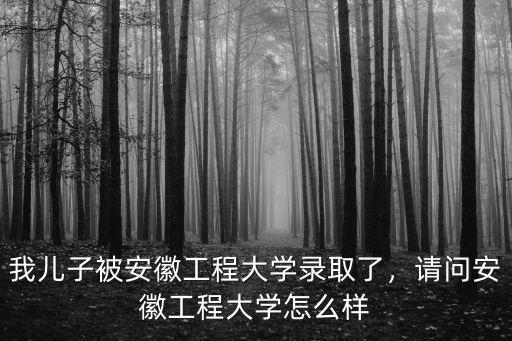 安徽工程大學(xué)考研多少分能上,安徽工程大學(xué)全國排名多少