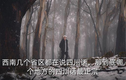西南幾個省區都在說四川話，那到底哪個地方的四川話最正宗