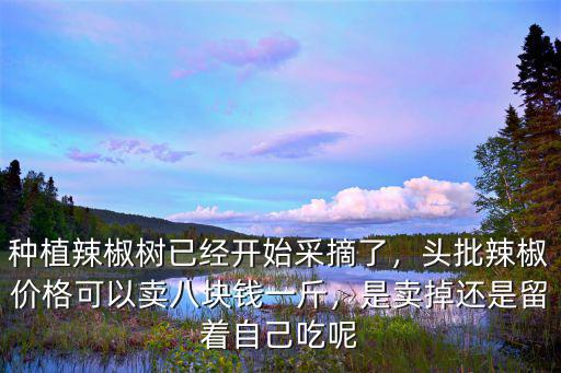 邢臺辣椒采摘機多少錢,目前辣椒多少錢一斤
