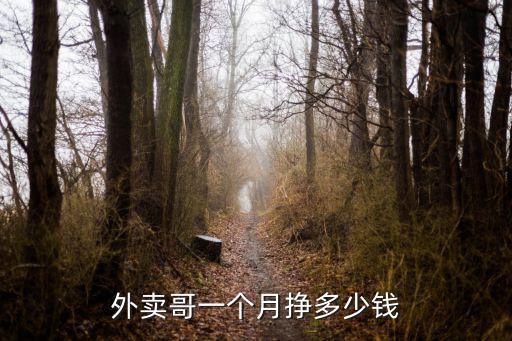 外賣哥一個月掙多少錢
