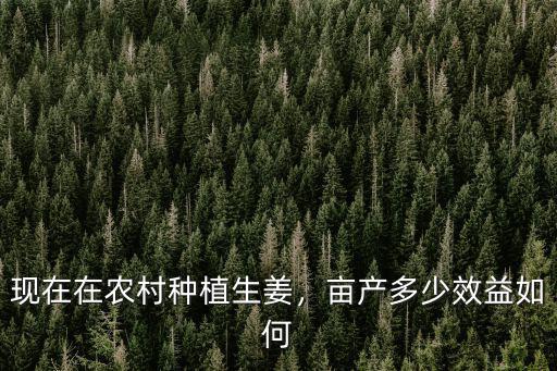 生姜畝產(chǎn)多少斤每畝需多少?gòu)?fù)合肥,畝產(chǎn)量一般是多少
