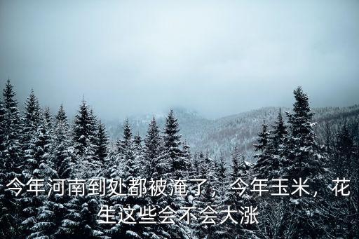 今年河南到處都被淹了，今年玉米，花生這些會(huì)不會(huì)大漲