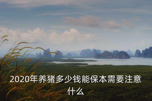 2020年養豬多少錢能保本需要注意什么