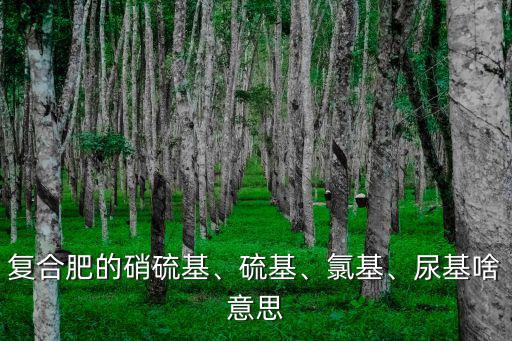 海藻素硝硫基復合肥多少錢一噸,復合肥的硝硫基