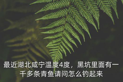 咸寧的整體溫度怎么樣,現(xiàn)在咸寧的房價怎么樣