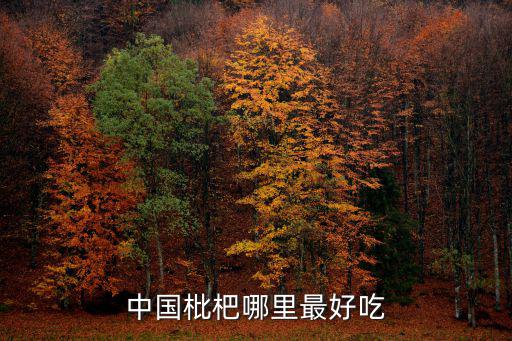 攀枝花哪里賣枇杷,攀枝花的枇杷好吃嗎