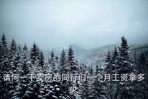 請問一下賣房的同行們一個月工資拿多少