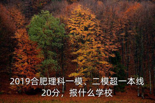 2020合肥二模大概多少人參加,二模超一本線20分