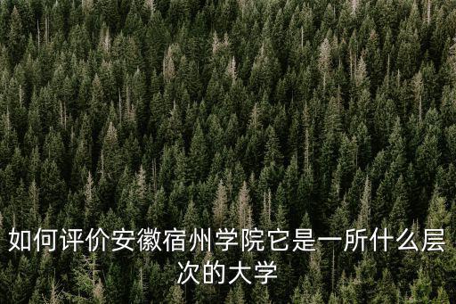 安徽宿州學(xué)院有多少公里,如何評價(jià)安徽宿州學(xué)院