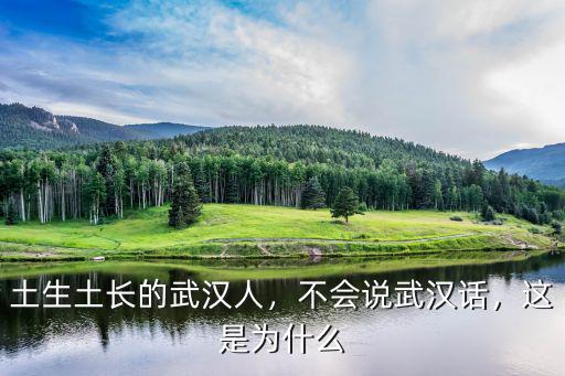 武漢話掉底子用普通話怎么說,不會說武漢話