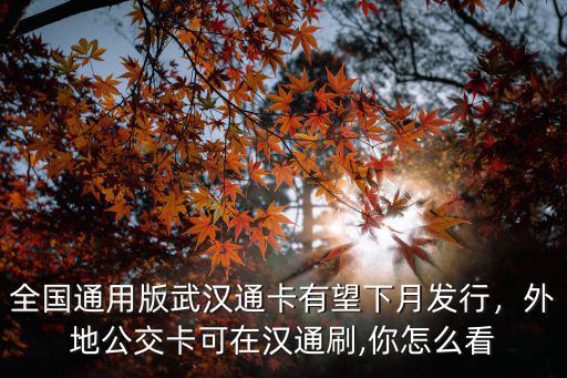 在武漢坐公交車怎么刷微信,在長(zhǎng)沙刷手機(jī)坐公交
