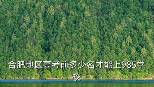 合肥地區高考前多少名才能上985學校