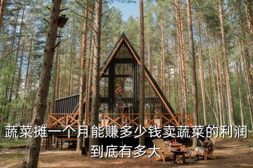 合肥攤位費一個月多少錢,蔬菜攤一個月能賺多少錢